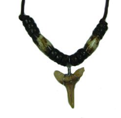 Shark Tooth Necklace #10