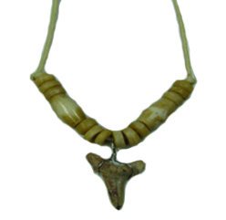 Shark Tooth Necklace #11