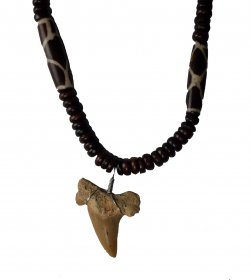 Shark Tooth Necklace #22